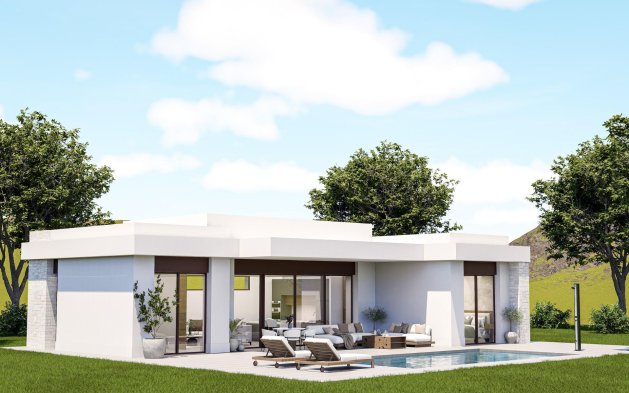 Independent Villa - New Build - Pinoso - Pinoso