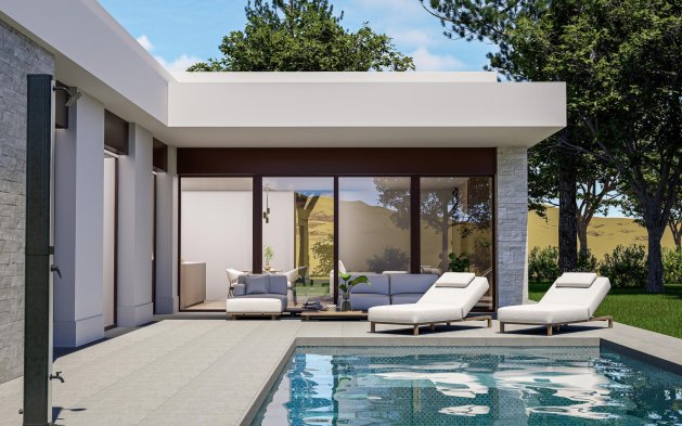 Independent Villa - New Build - Pinoso - Pinoso