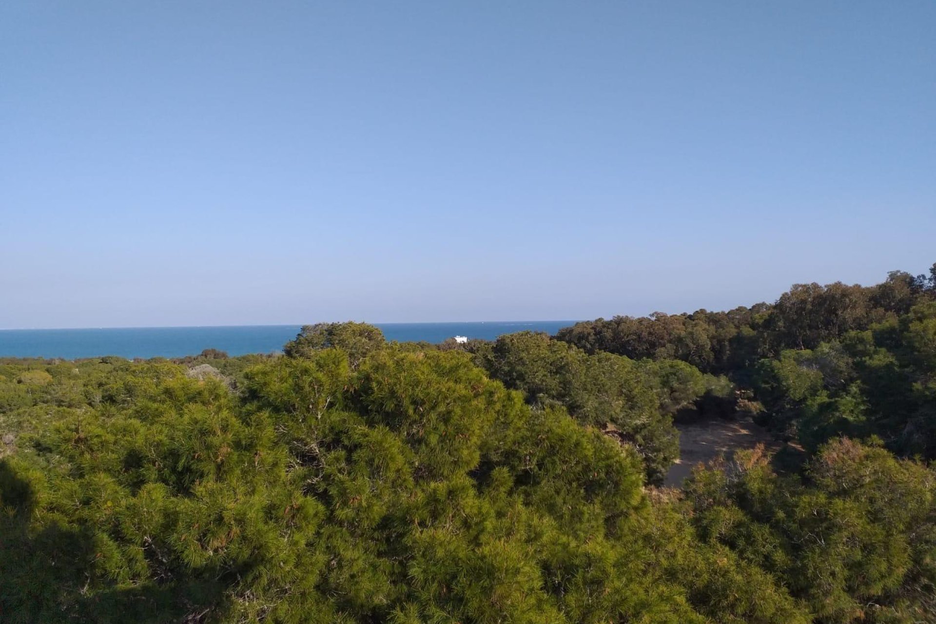 New Build - Apartment - Guardamar del Segura