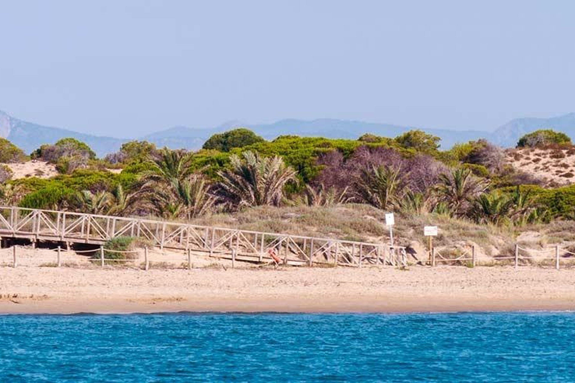 New Build - Apartment - Guardamar del Segura