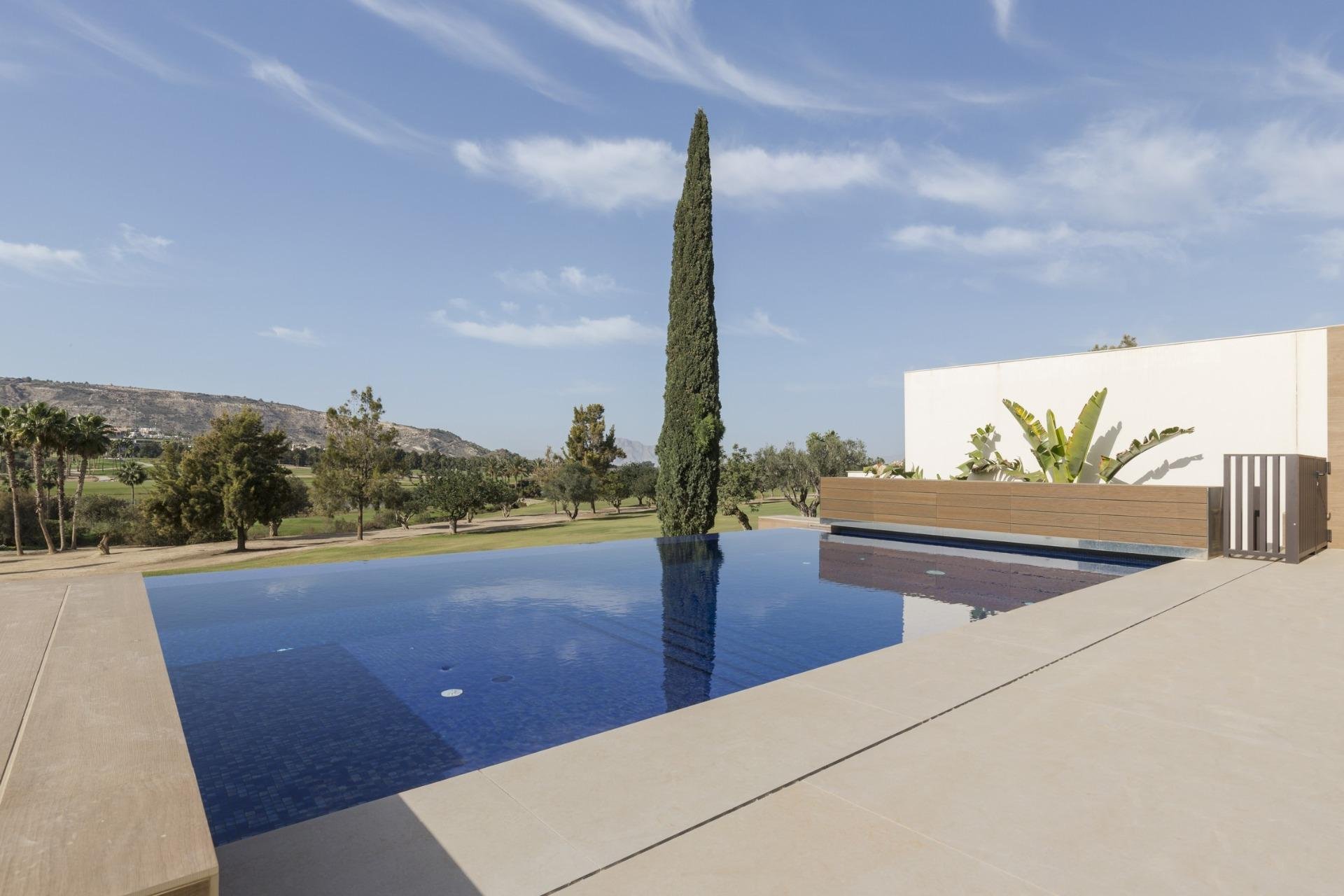 New Build - Independent Villa - Algorfa