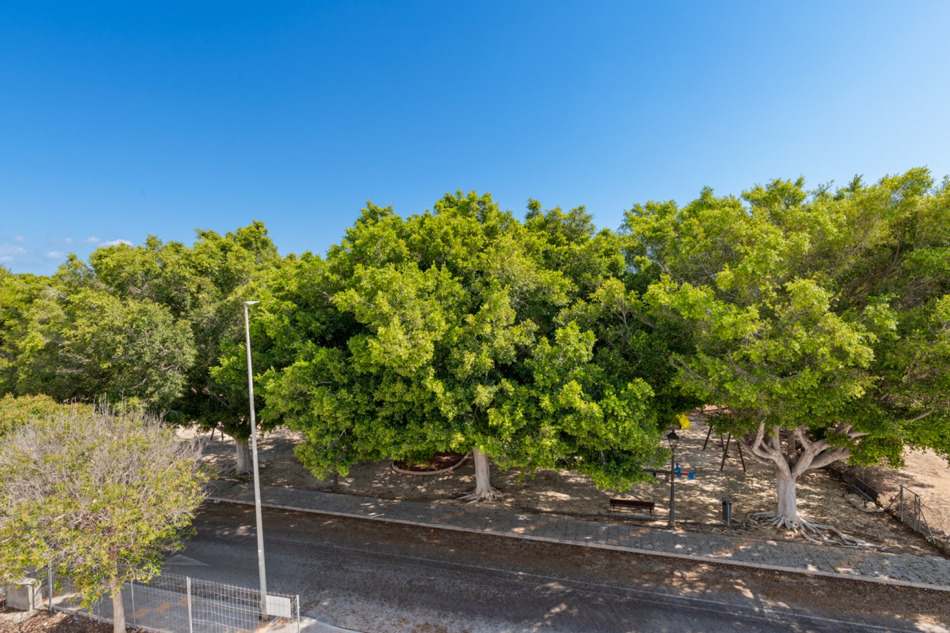 New Build - Independent Villa - Pilar de la Horadada