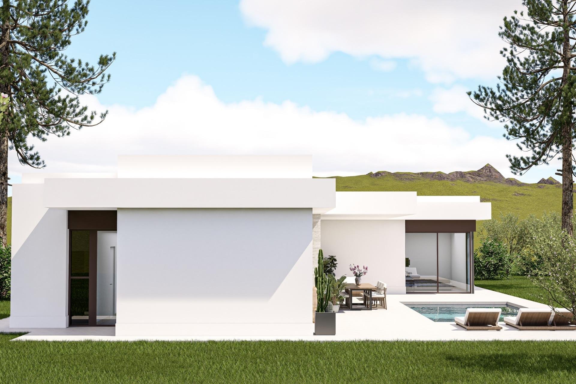 New Build - Independent Villa - Pinoso