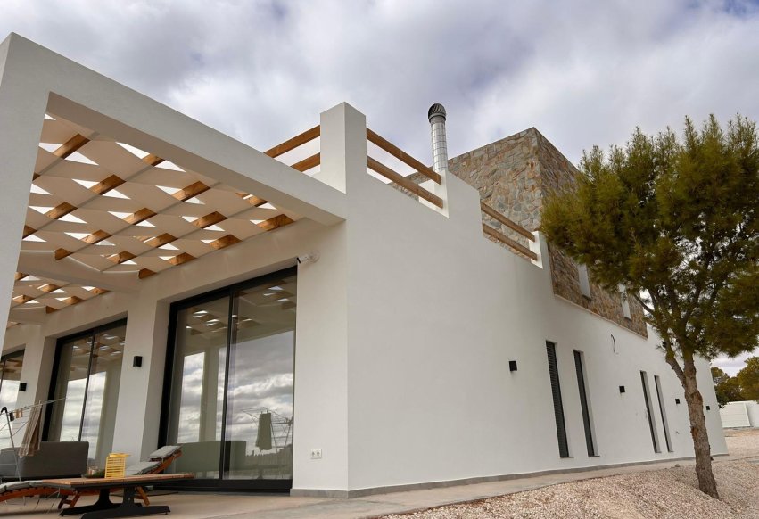 New Build - Independent Villa - Pinoso