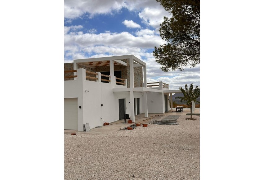 New Build - Independent Villa - Pinoso