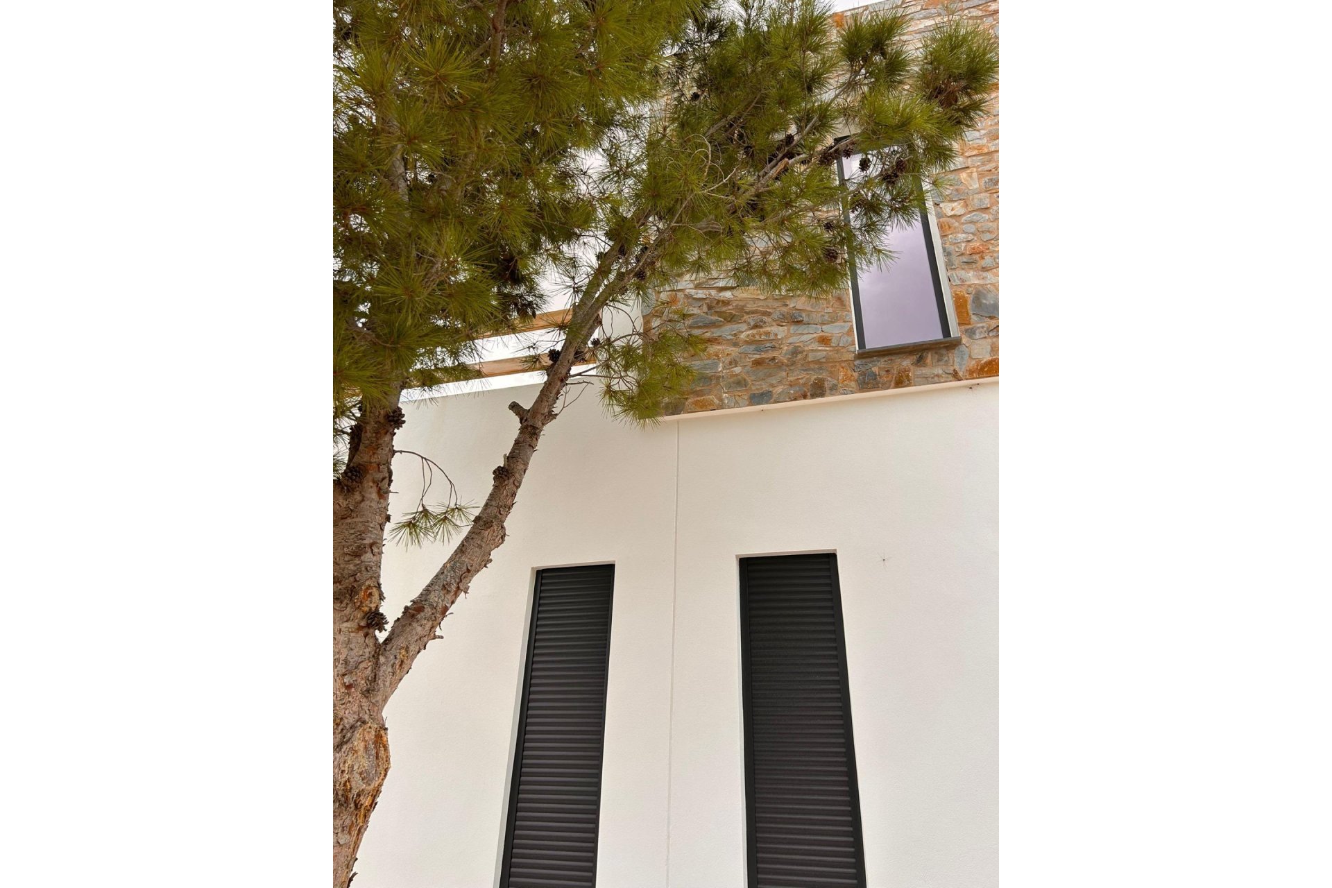 New Build - Independent Villa - Pinoso