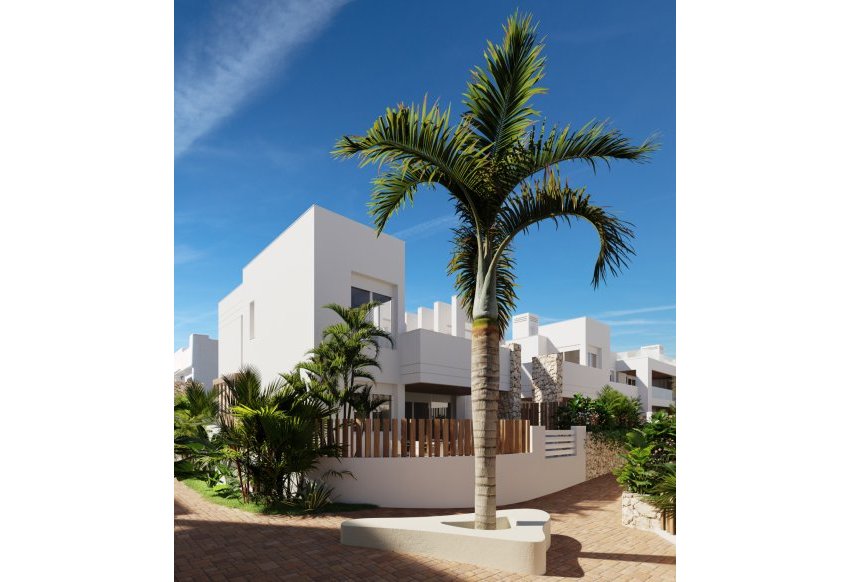 New Build - Independent Villa - San Juan de los Terreros