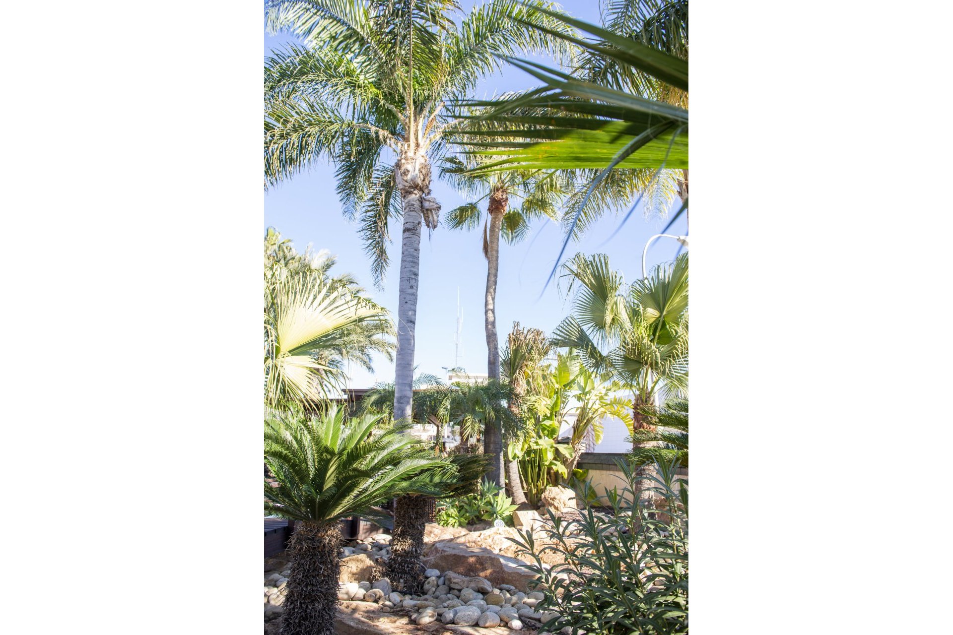 New Build - Independent Villa - San Pedro del Pinatar