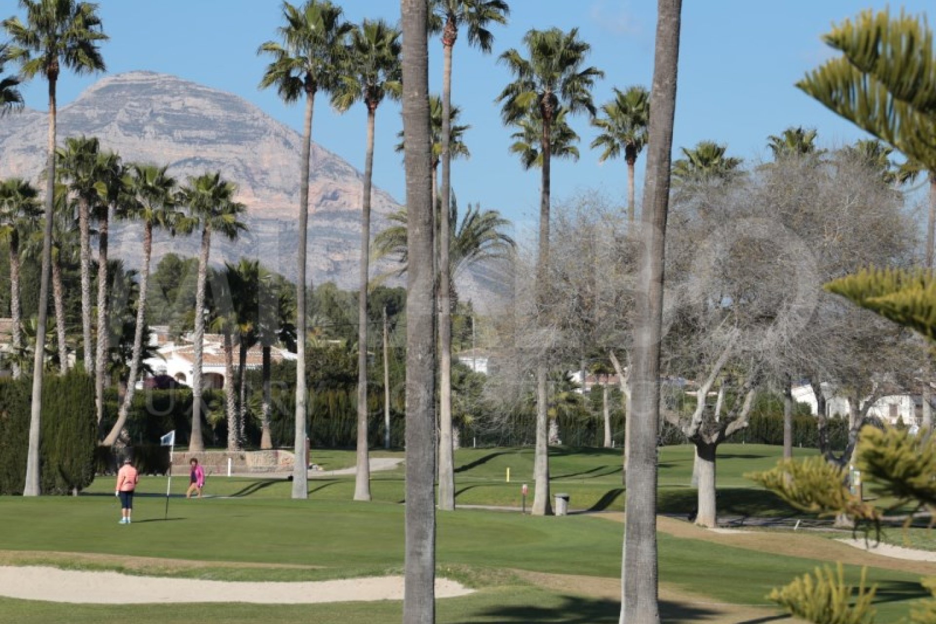 New Build -  - Jávea / Xàbia - Cap Martí - El Tossalet - Pinomar