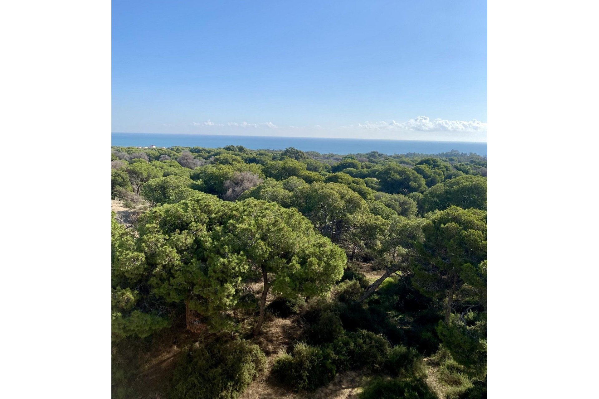 New Build - Penthouse - Guardamar del Segura