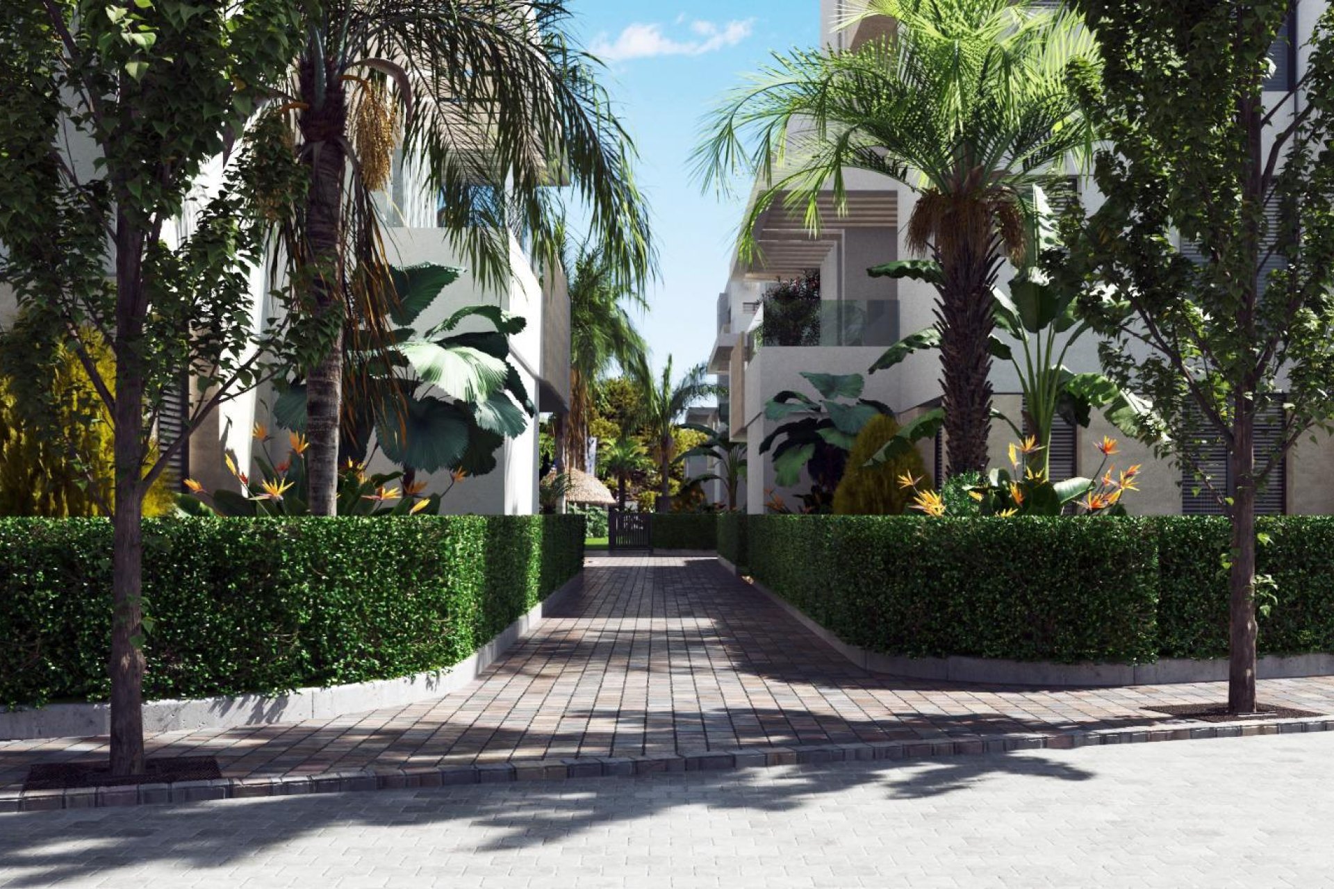 Nouvelle construction - Appartement en rez-de-chaussée - Torre-Pacheco