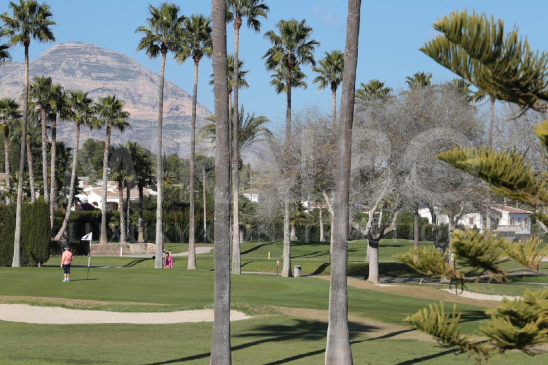 Nouvelle construction -  - Jávea / Xàbia - Cap Martí - El Tossalet - Pinomar