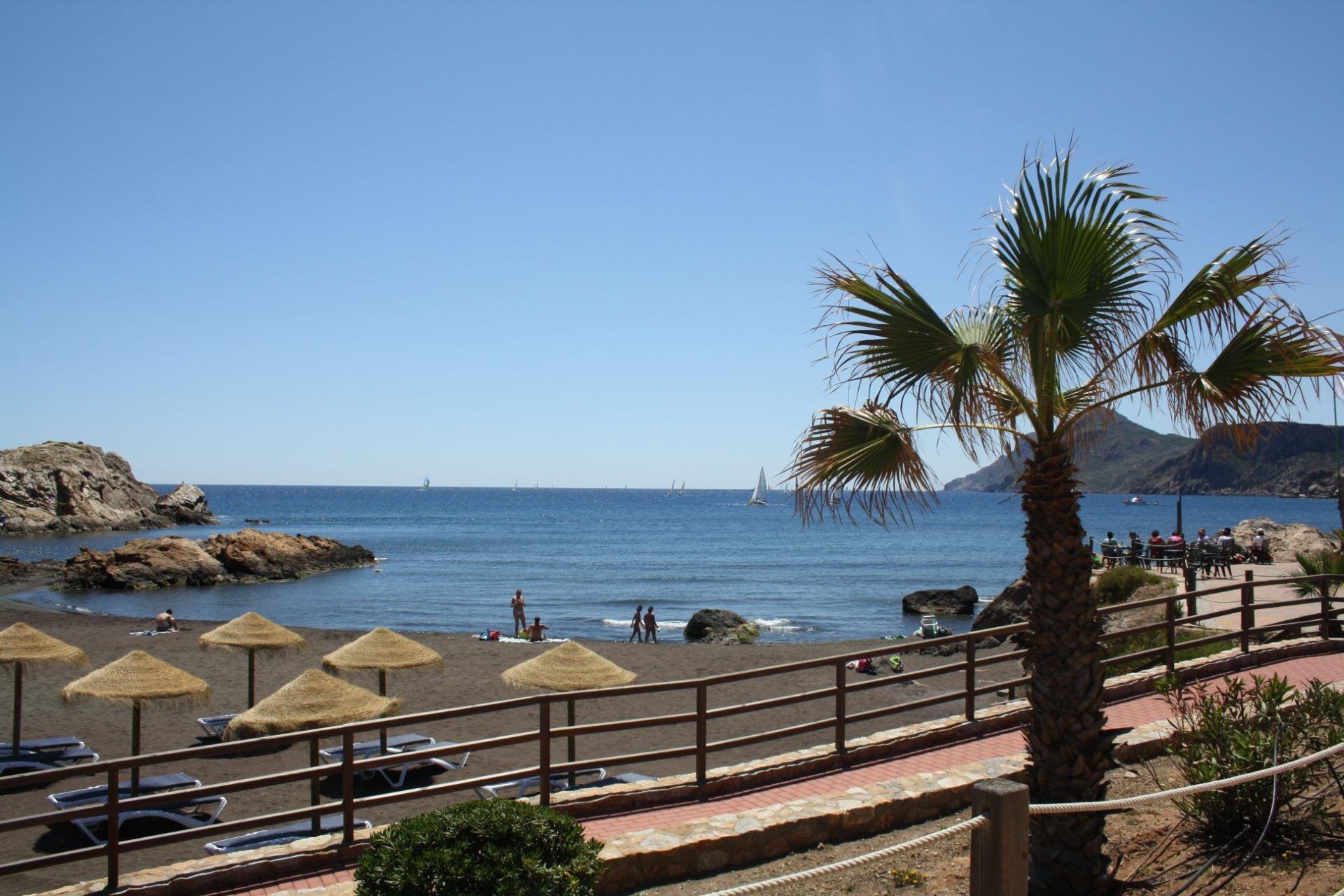 Nouvelle construction - Maison jumelée - La Union