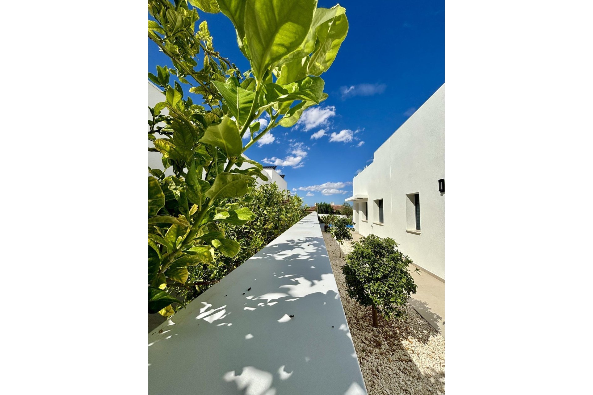 Nouvelle construction - Villa indépendante - Benijofar