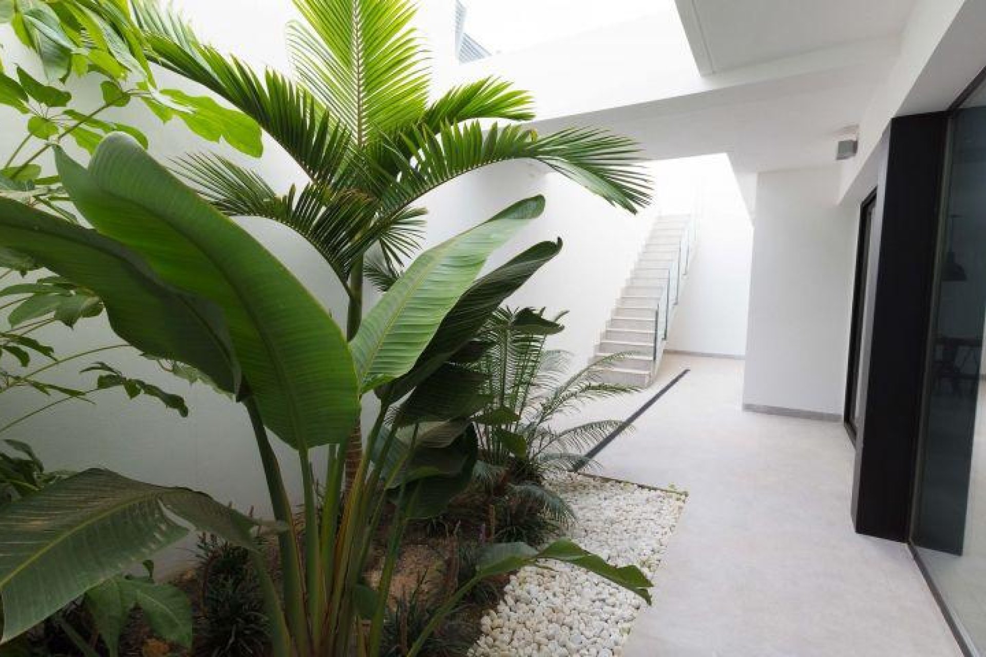 Nouvelle construction - Villa indépendante - Finestrat