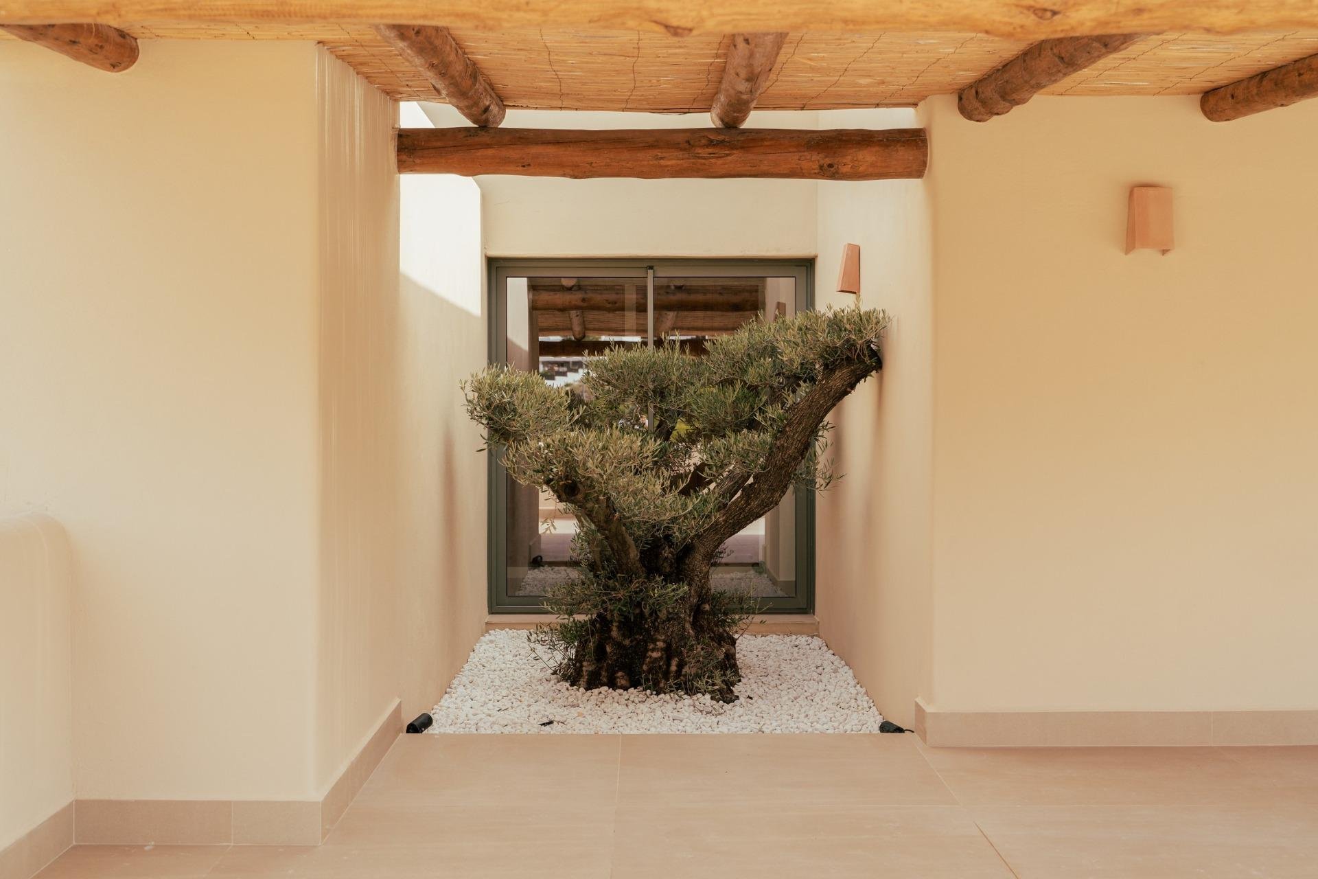 Nouvelle construction - Villa indépendante - Jávea - Jávea Xàbia