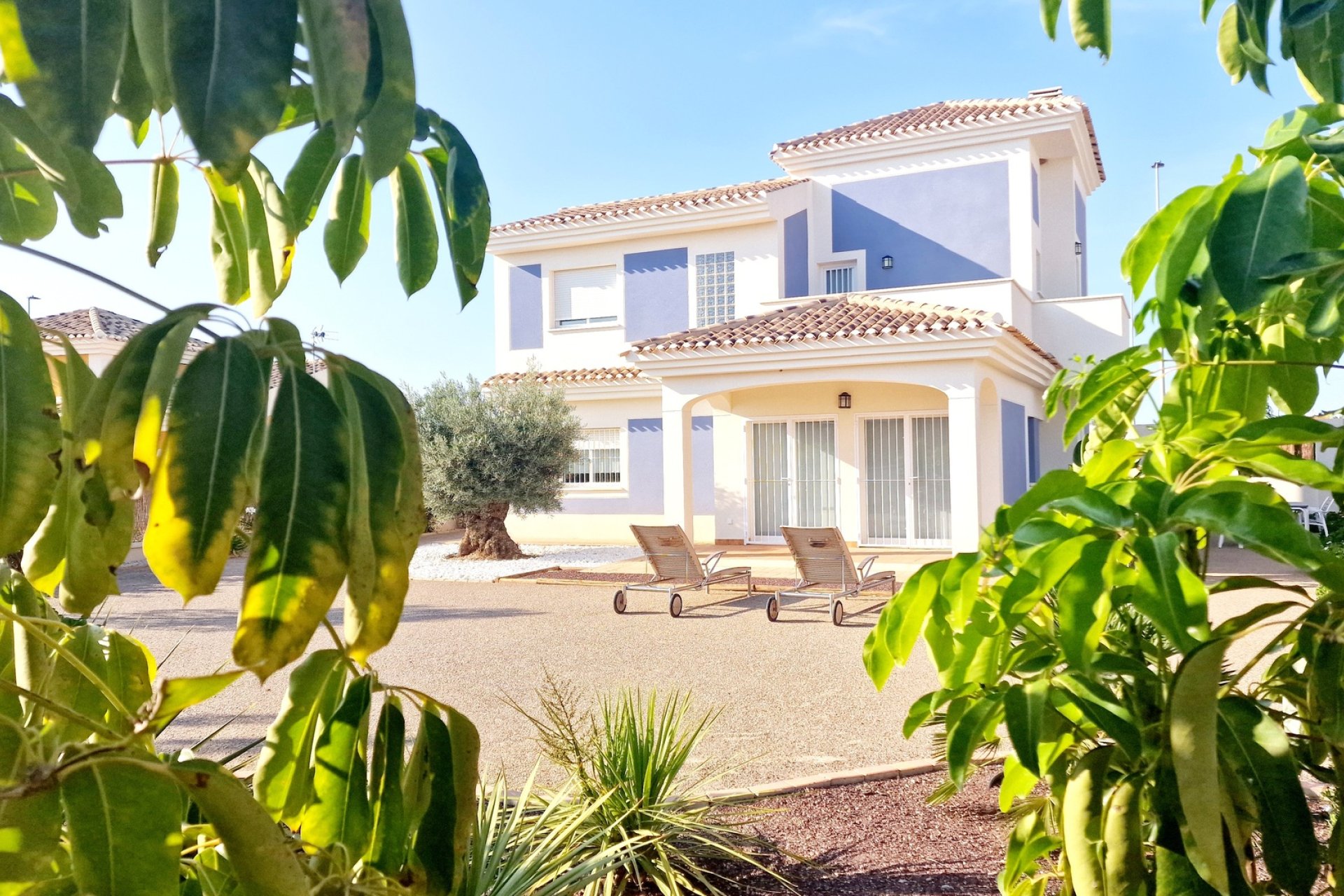 Nouvelle construction - Villa indépendante - Purias