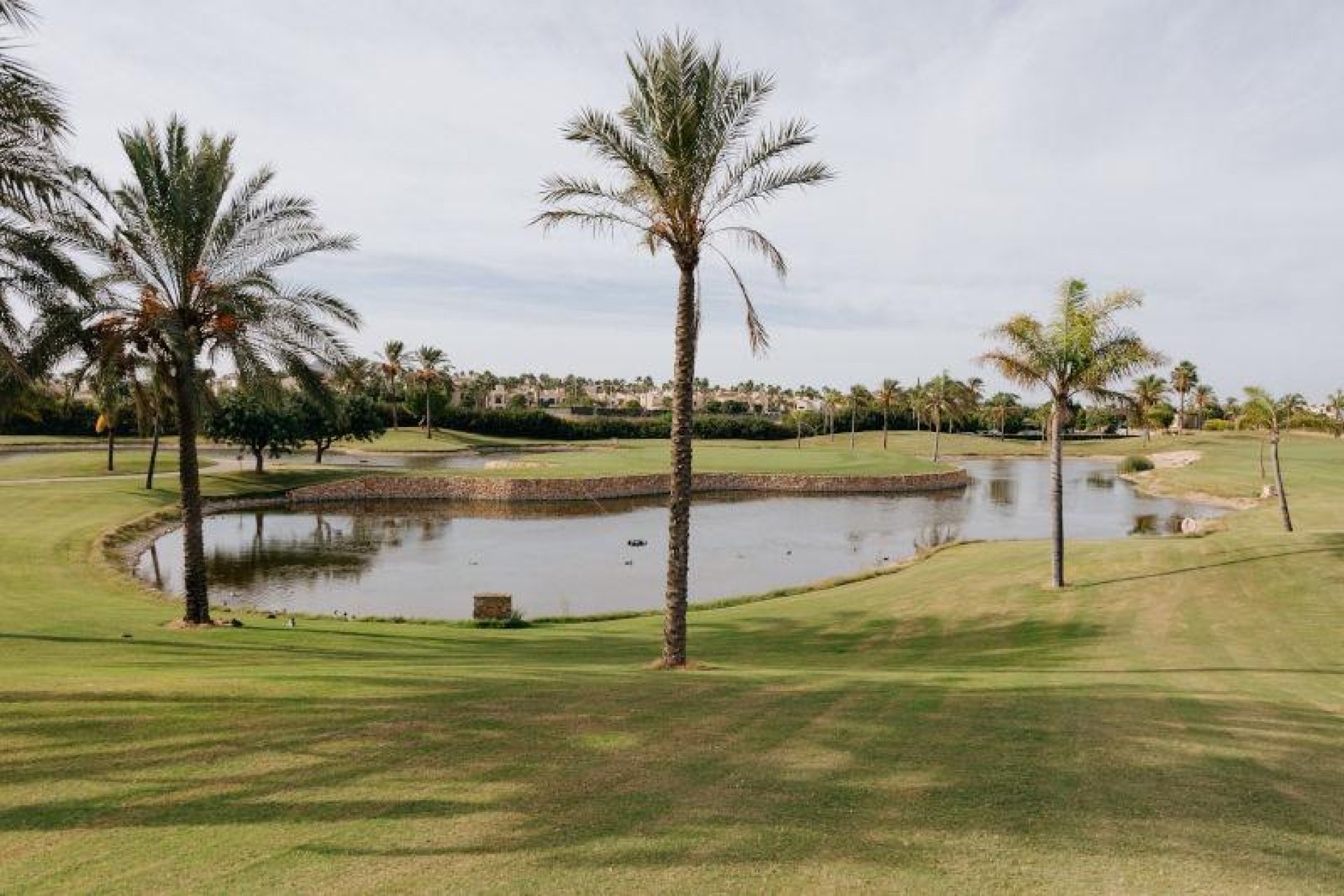 Obra nueva - Adosado - San Javier