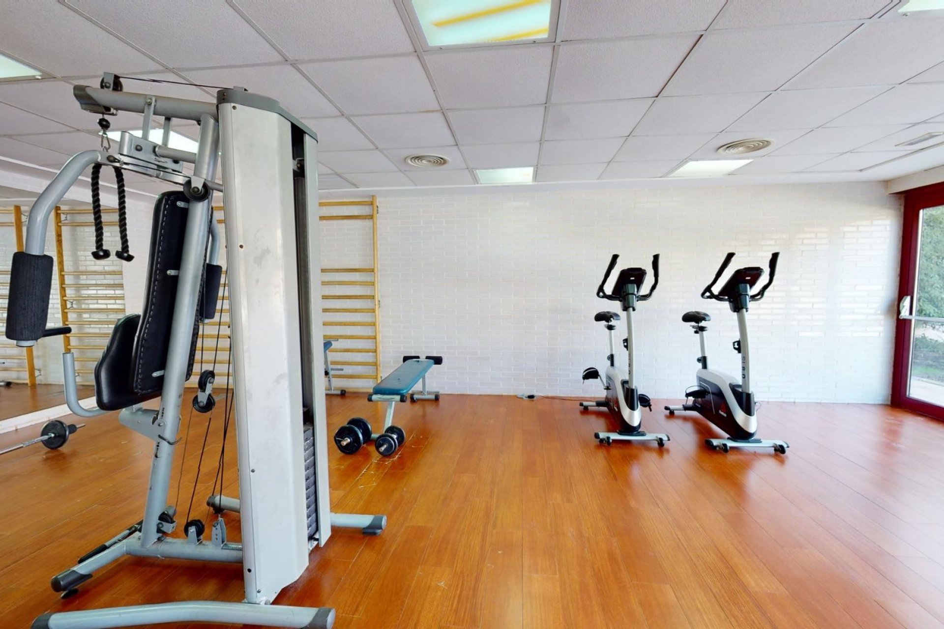 Obra nueva - Apartamento - Archena