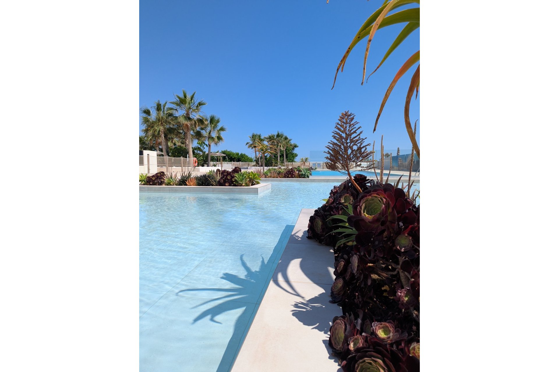 Obra nueva - Apartamento - Denia - Dénia