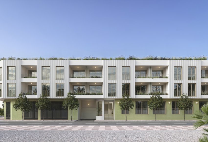 Obra nueva - Apartamento en planta baja - Jacarilla