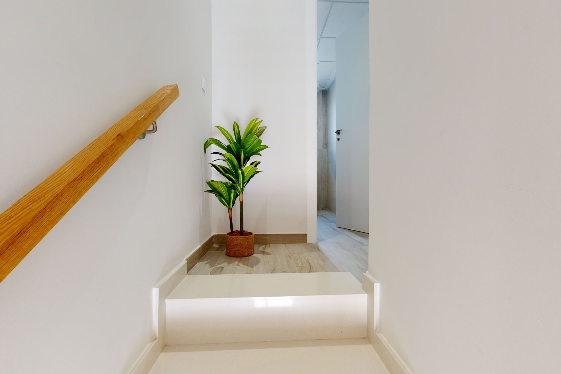 Obra nueva - Apartamento en planta baja - Pilar de la Horadada