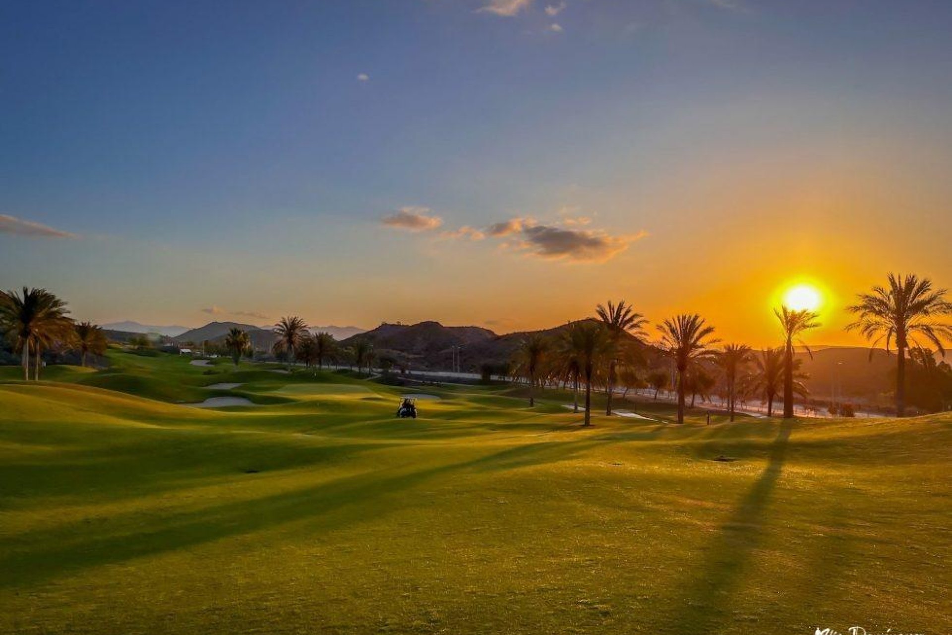 Obra nueva - Apartamento en planta baja - Pulpí