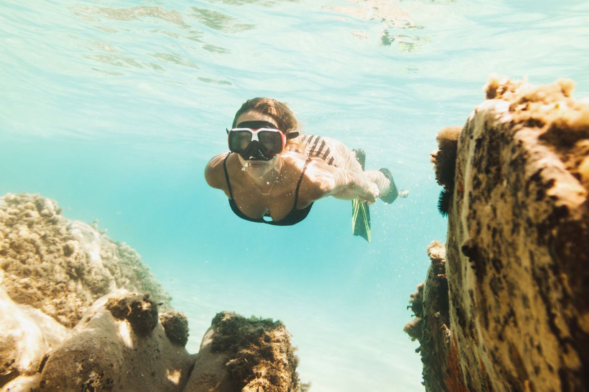 Obra nueva - Apartamento - La Manga del Mar Menor