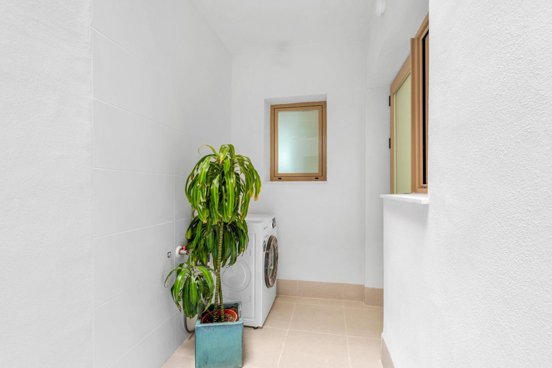 Obra nueva - Ático - Jacarilla