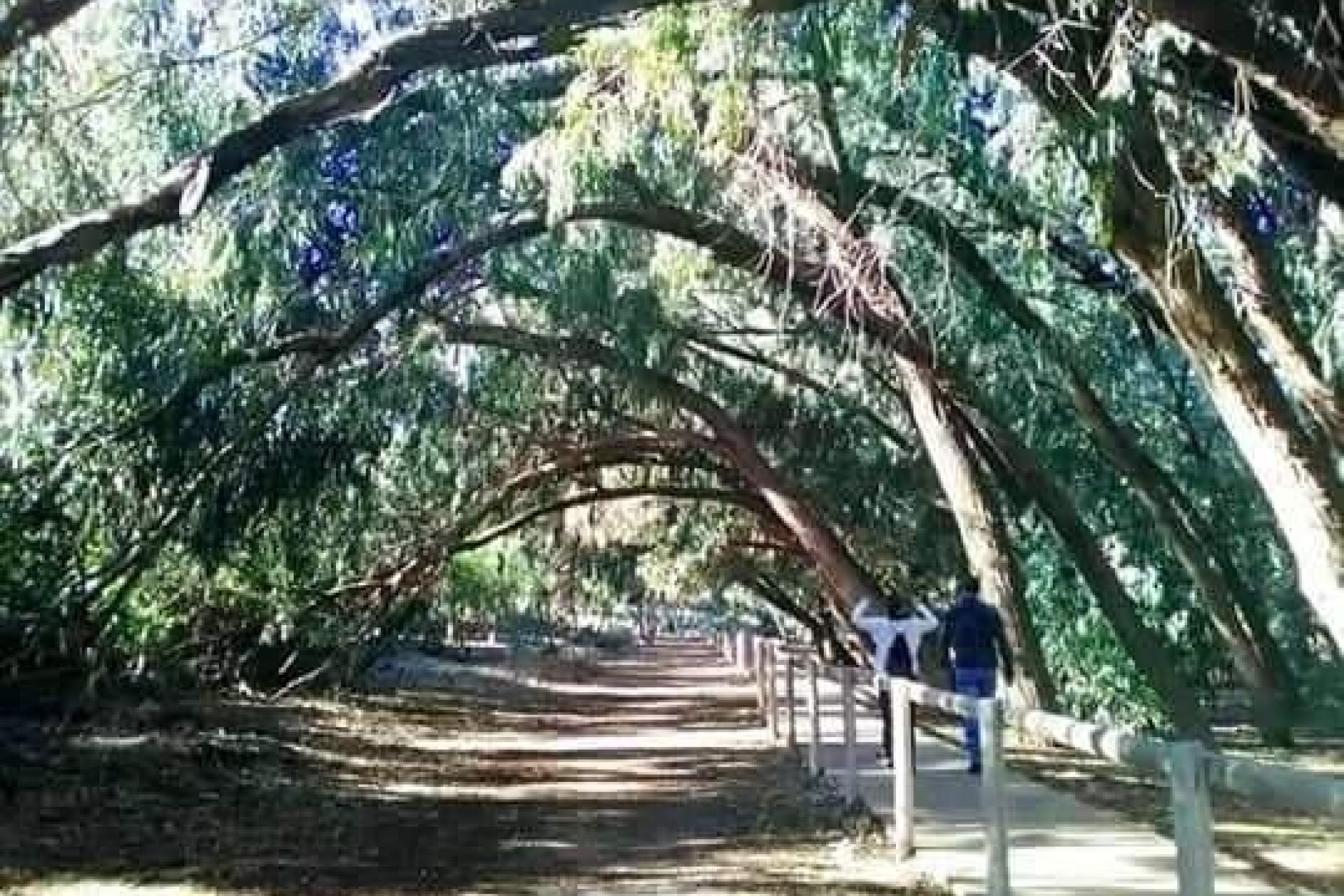 Obra nueva - Ático - Torrevieja