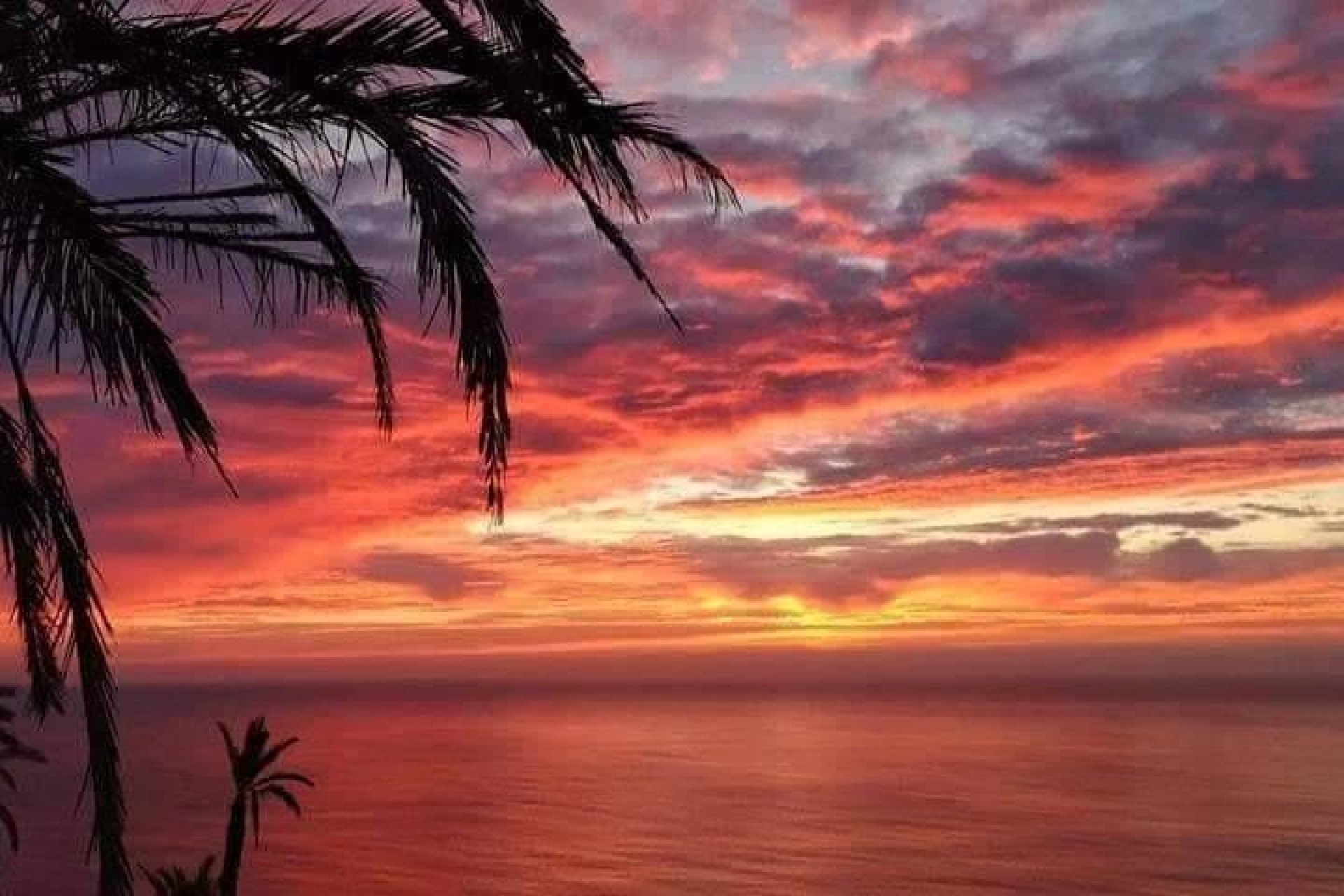 Obra nueva - Ático - Torrevieja