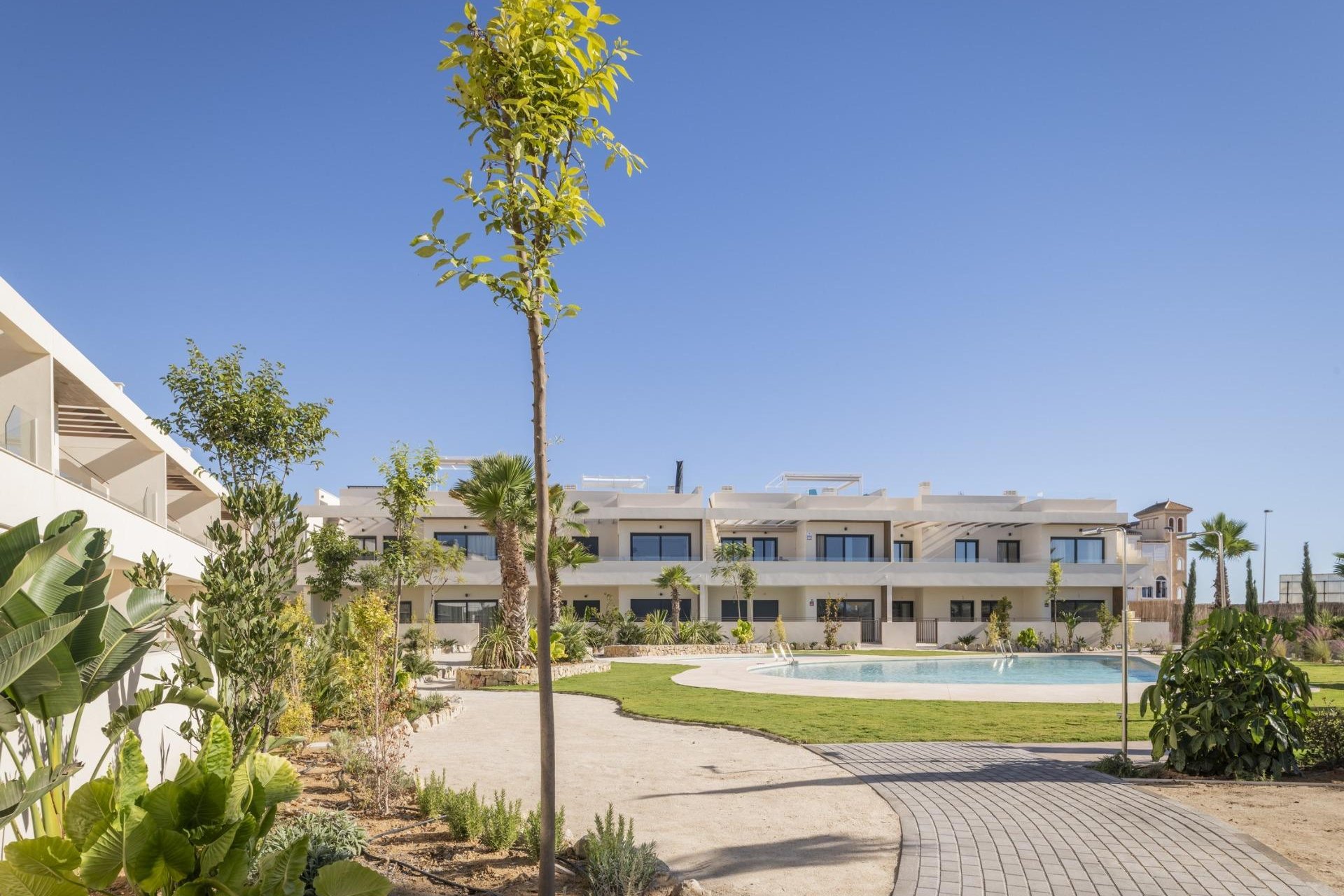 Obra nueva - Ático - Torrevieja