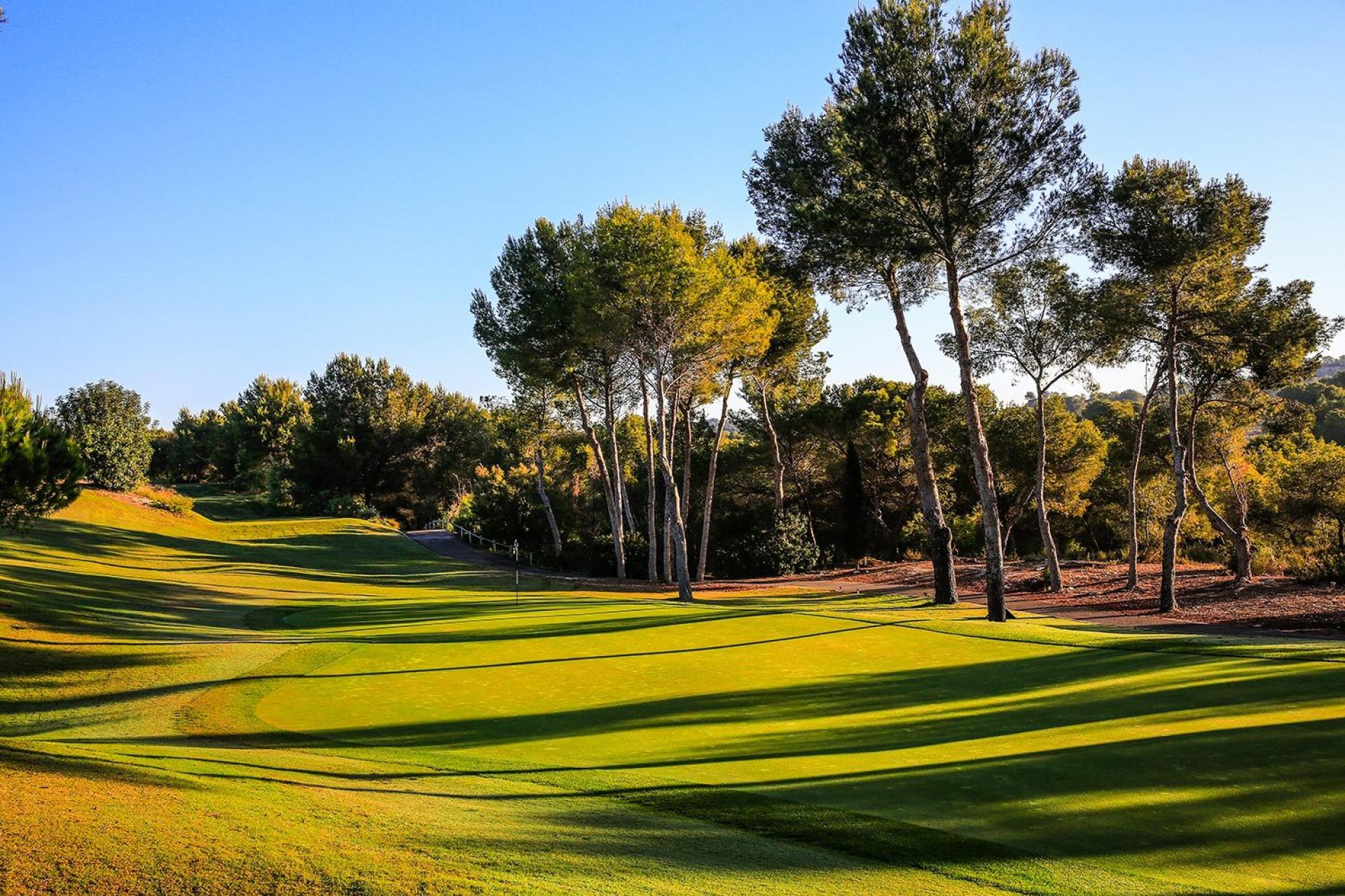 Obra nueva - Villa independiente - Orihuela