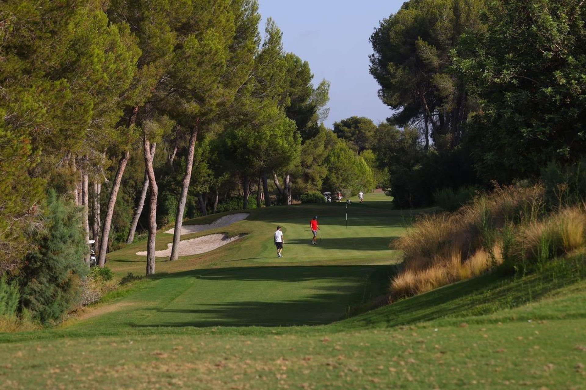 Obra nueva - Villa independiente - Orihuela