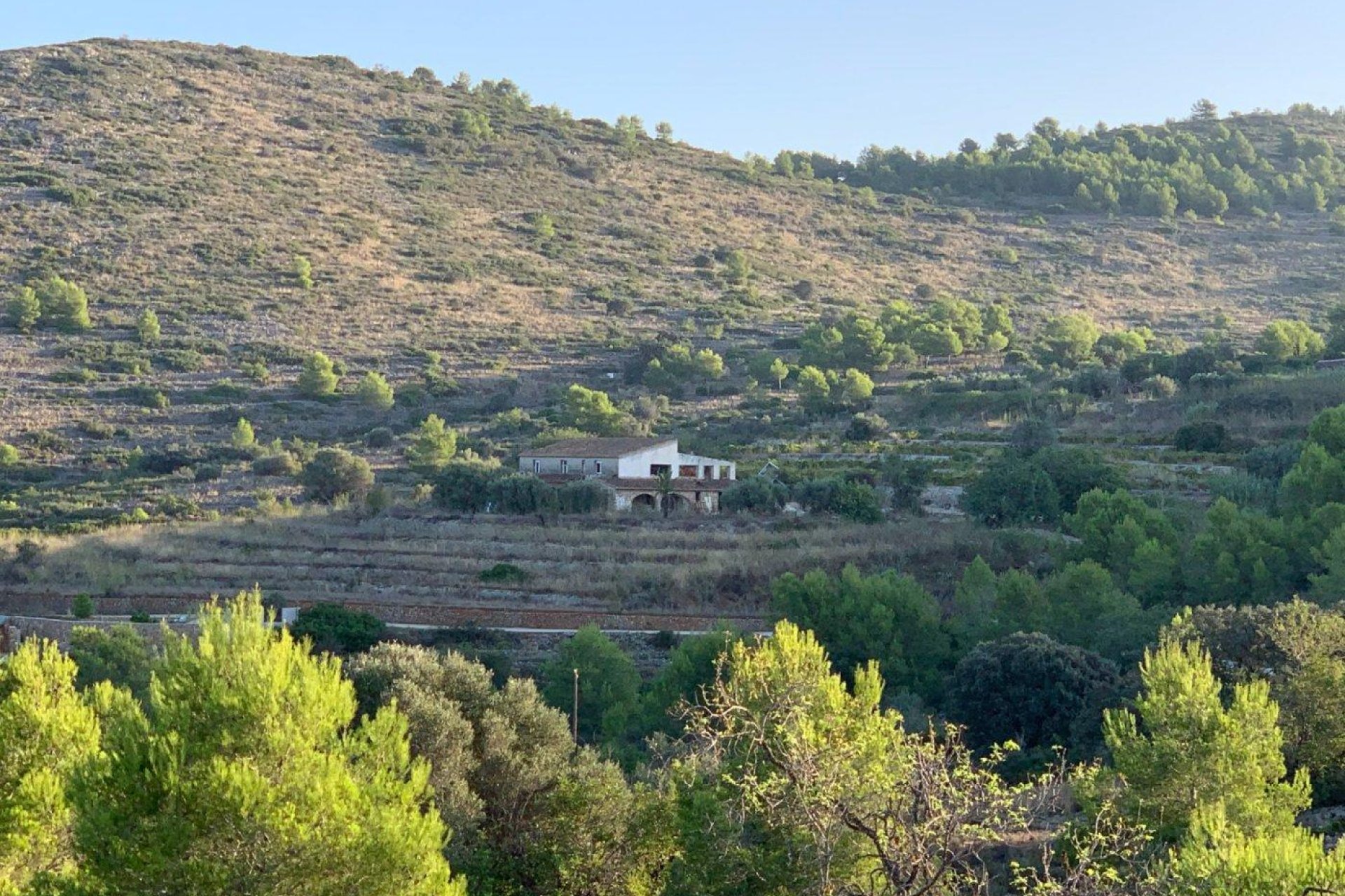 Resale - finca - Senija - Casco urbano
