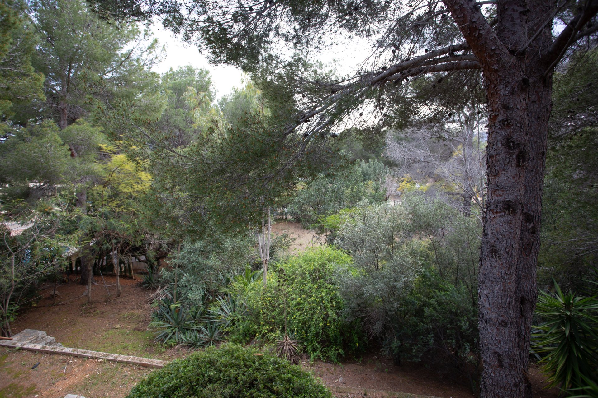 Resale - Independent Villa - Jávea - Montgó - Ermita