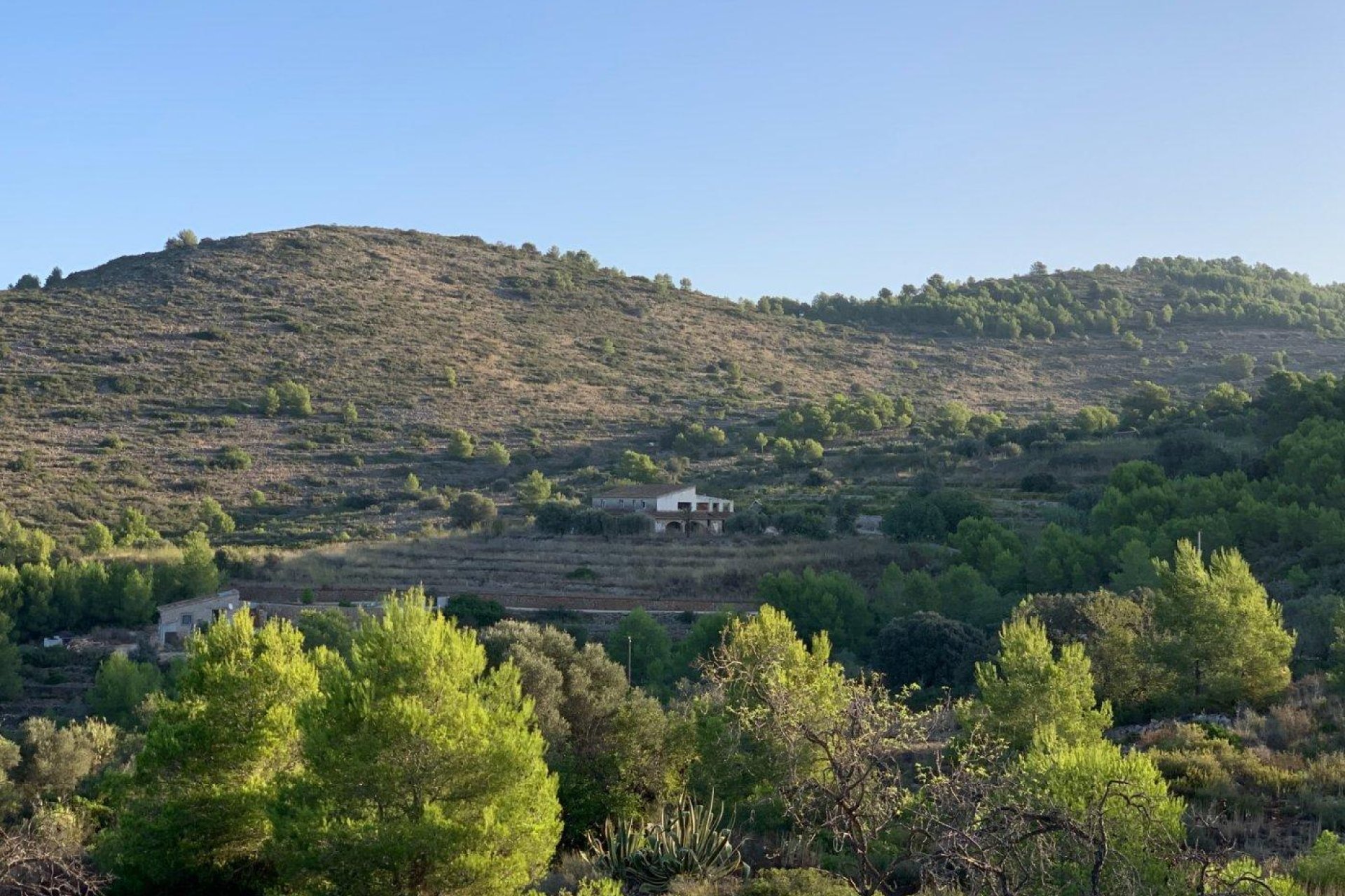 Revente - finca - Senija - Casco urbano
