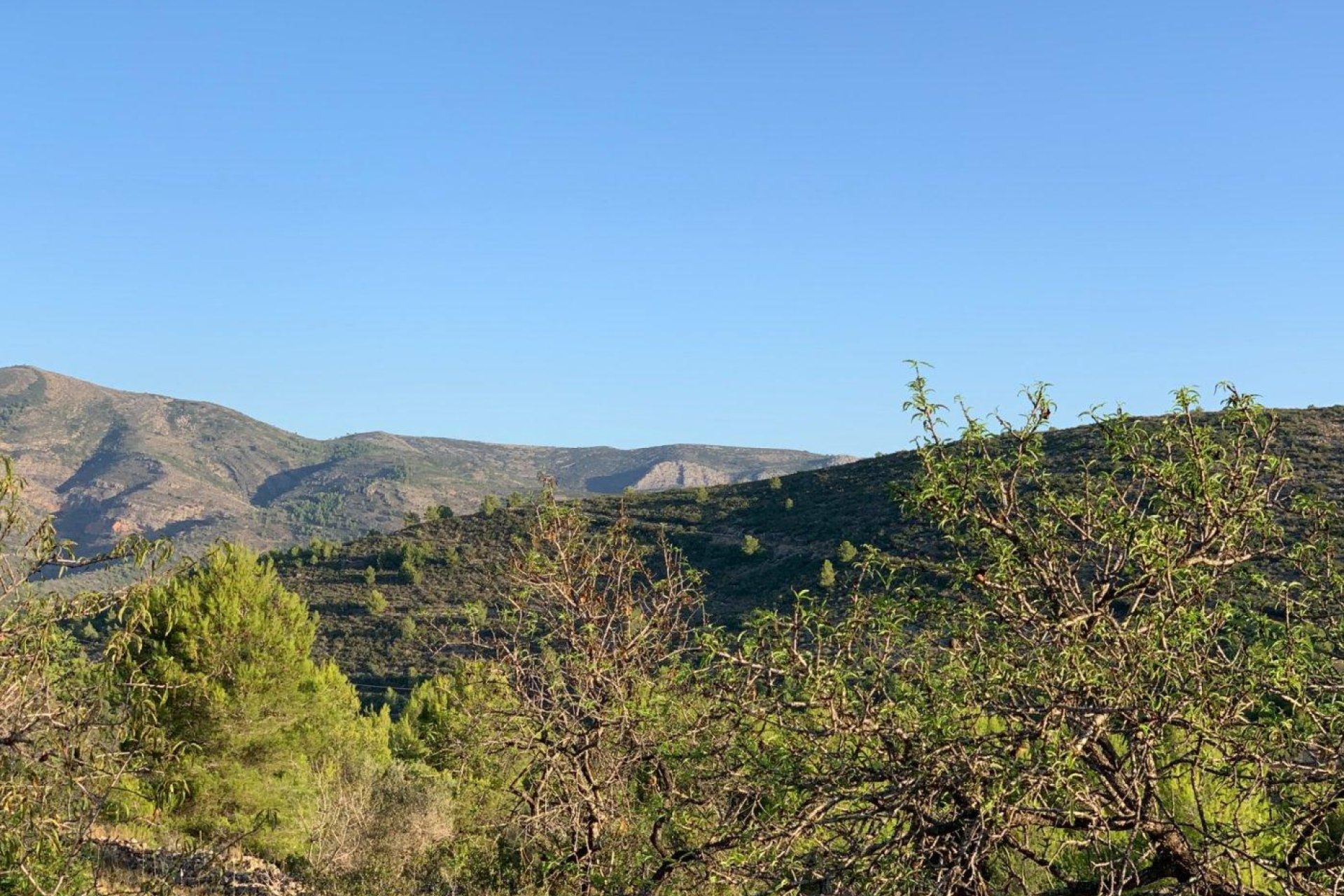 Revente - finca - Senija - Casco urbano