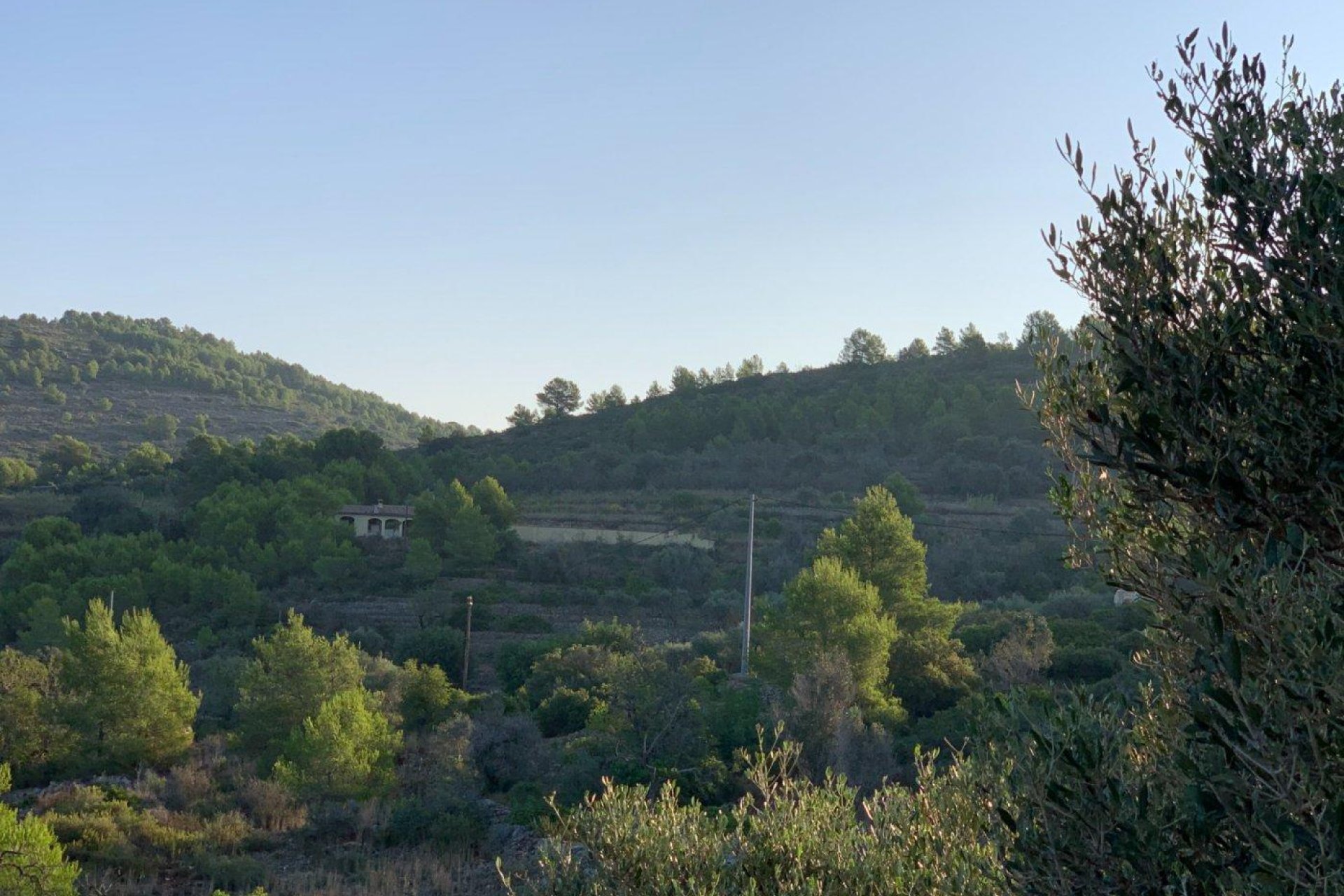 Revente - finca - Senija - Casco urbano