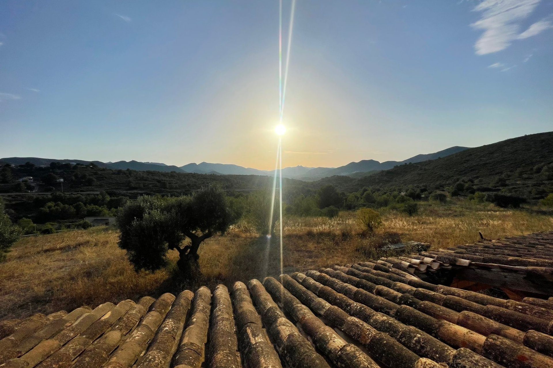Revente - finca - Senija - Casco urbano