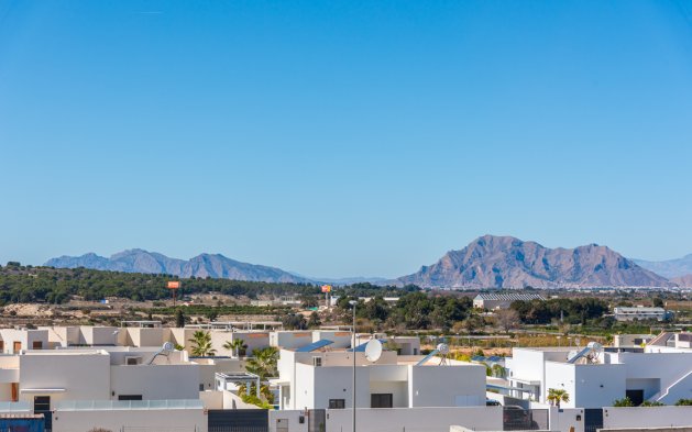 New Build - Ground floor Apartment - Benijofar