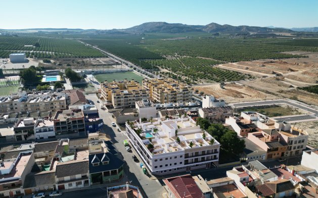 New Build - Ground floor Apartment - Algorfa