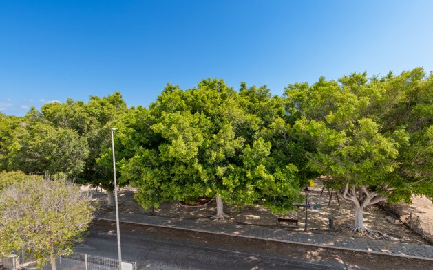 New Build - Independent Villa - Pilar de la Horadada