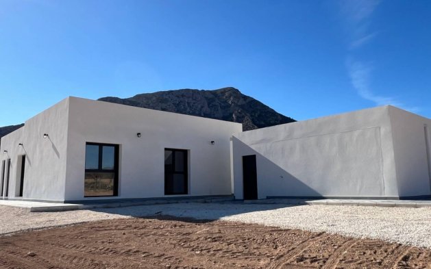 New Build - Independent Villa - Torre del Rico
