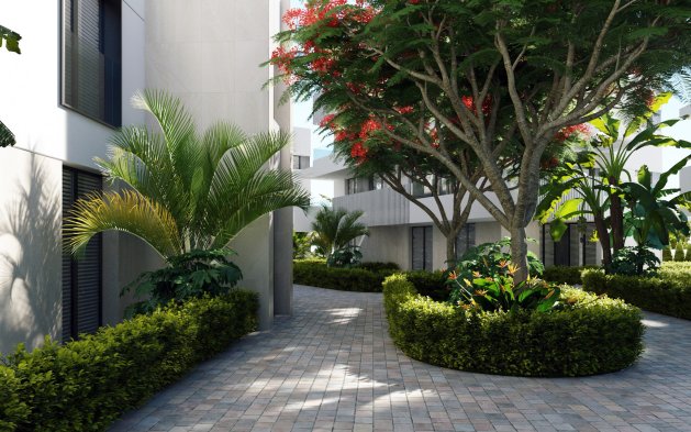 New Build - Apartment - Torre-Pacheco