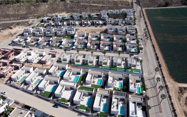 New Build - Independent Villa - Algorfa