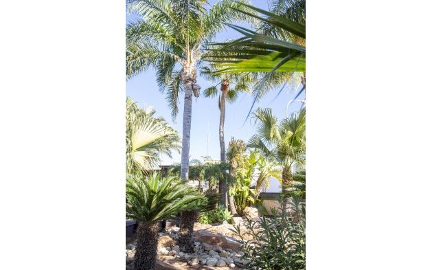 New Build - Independent Villa - San Pedro del Pinatar