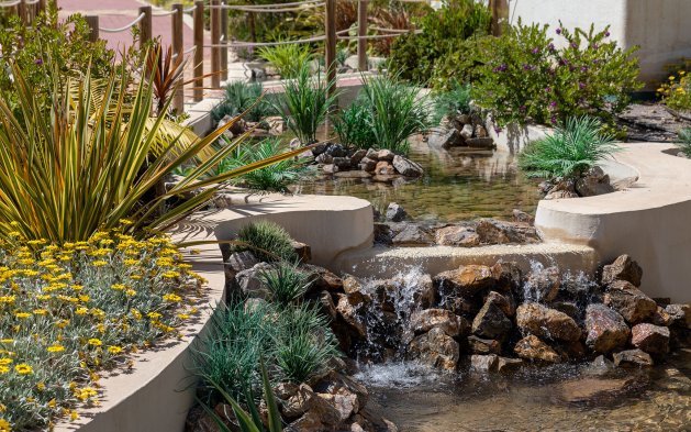 New Build - Ground floor Apartment - Pozo del Esparto