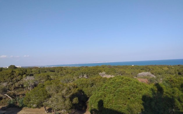 New Build - Apartment - Guardamar del Segura