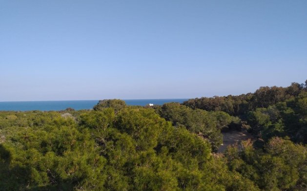 New Build - Apartment - Guardamar del Segura